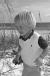 resxdsc0089-2.jpg